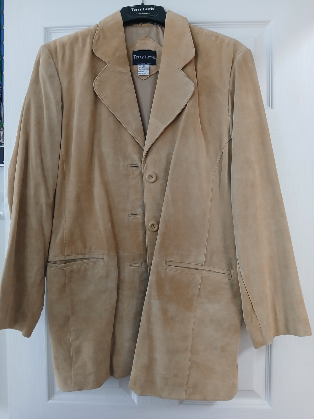 Suede Blazer in Light Beige - 1X